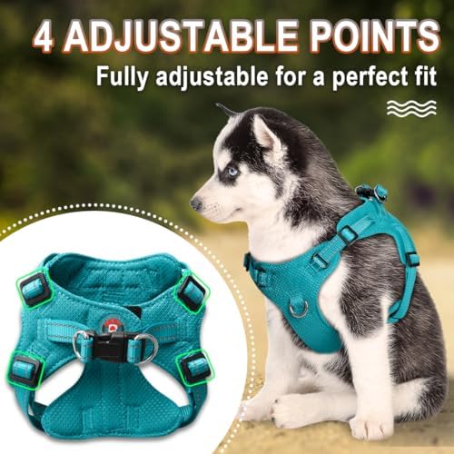 BARKBAY Dog Harness Medium Sized Dog, No Pull Puppy Harness, Step-in Dog Vest - Image 3