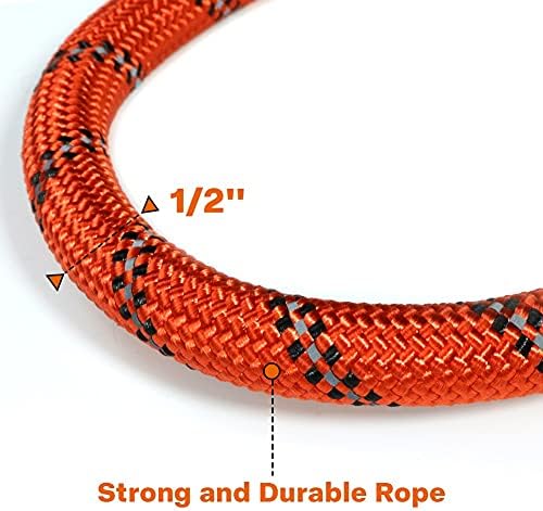 Taglory Rope Dog Leash for Medium Large Dogs, 6 FT Padded Handle - Image 3