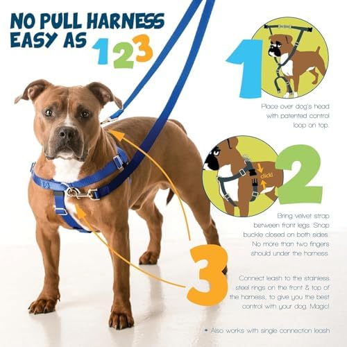 2 Hounds Design Freedom No Pull Dog Harness, 1 inch MD - Image 3