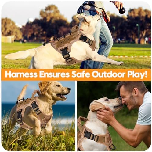 Heavy-Duty Tactical Dog Harness - Image 6