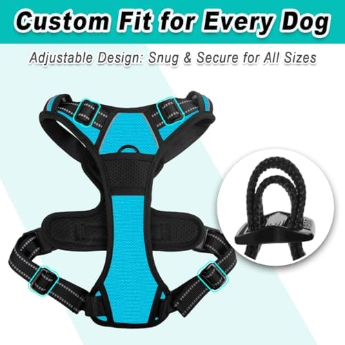 BARKBAY Dog Harness for Medium Sized Dog No Pull 2 Leash Clips Dog Vest - Image 6