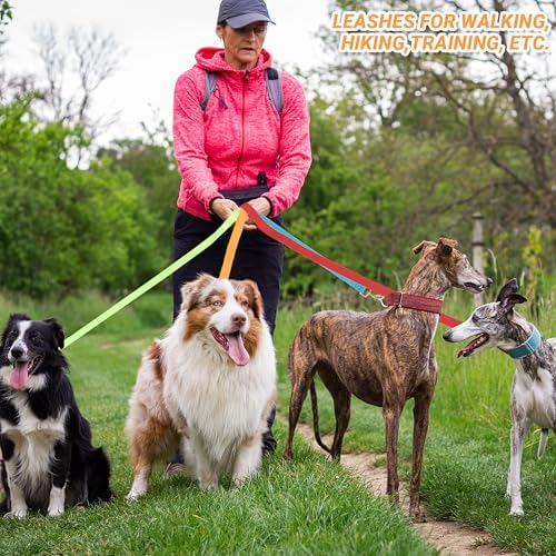 24 Pack Bulk Dog Leashes, 6FT Pet Lead Leash - Image 4