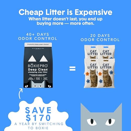 Boxie Probiotic Cat Litter, 40 Day Control, Clumping Clay Kitty Litter - Image 3