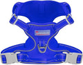 BARKBAY Dog Harness for Small Sized Dog No Pull Mesh 2 Clips Dog Vest by BARKBAY