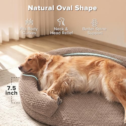 JOEJOY XL Orthopedic Dog Beds Large Sized Dog, Extra Large Washable Waterproof - Image 2