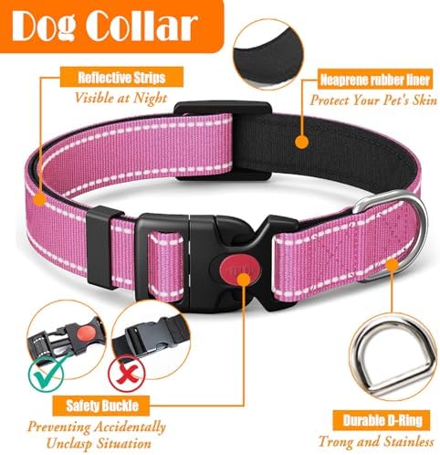 LOBEVE No Pull Dog Harness, Collar & Leash Set - Image 6