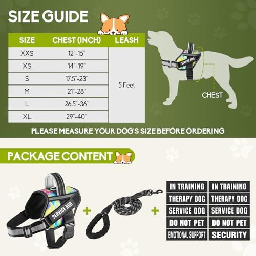 Service Dog Harness and Leash Set, - Image 4