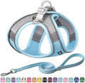 AIITLE Small Dog Harness and Leash Set, Step-in Puppy Pet Vest by AIITLE-FORPETSBETTERLIFE