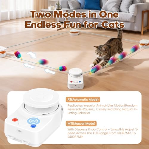 Interactive Cat Toy for Indoor Cat, Automatic Treadmill for Exercise - Image 5