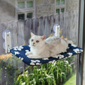 Cute Cat Window Perch, Foldable Cat Window Hammock by Yaning