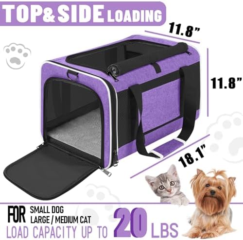 GAPZER Large Cat Carrier Soft, Collapsible Travel Pet Carry Bag, Small Dogs - Image 2