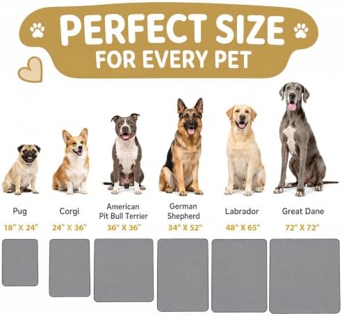 CoolShields Washable Pee Pads for Dogs, 2 Pack - Image 2