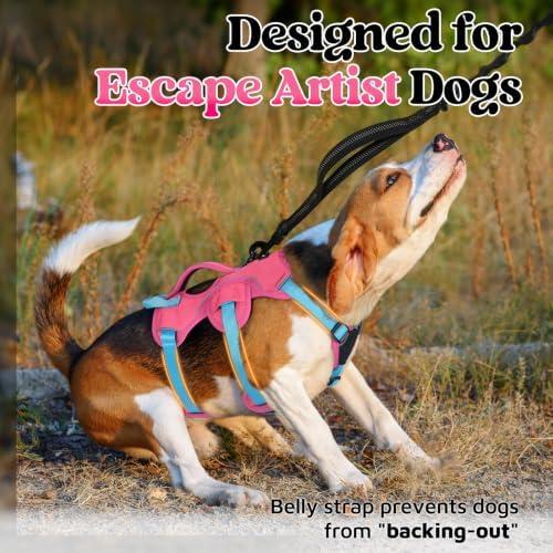 rabbitgoo Escape Proof Dog Harness - Image 2