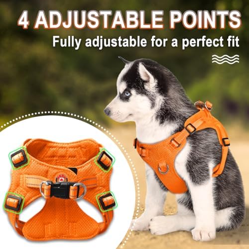 Dog Harness Step in Dog Vest Harness, Reflective Adjustable Puppy No Pull - Image 3