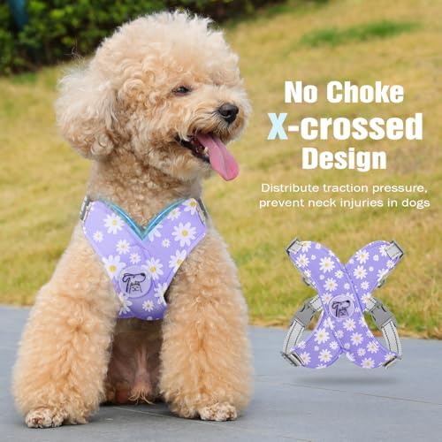 Pawaboo Small Dog Harness and Leash Set, Puppy Harness X-Frame Adjustable - Image 3