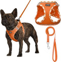 AMTOR Small Dog Harness with Leash Set, No Escape Easy Walk Puppy Harnesses by AMTOR
