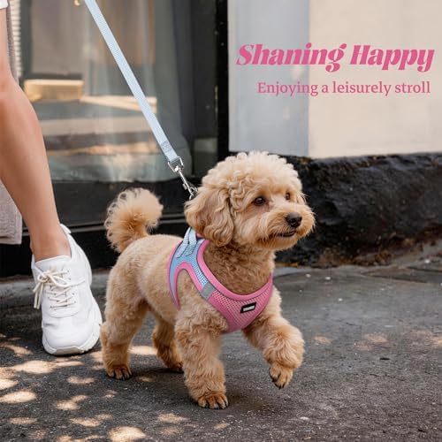 No Pull Dog Puppy Harness and Leash Set Reflective Mesh Vest Large - Image 6