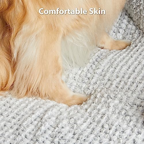 LEXTRO Washable Orthopedic Dog Bed - Image 6