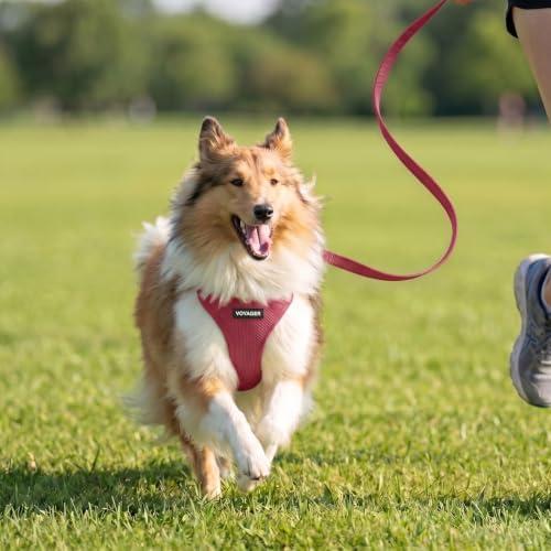 Best Pet Supplies Voyager Step-in Air All Weather Mesh Harness and Reflective - Image 7