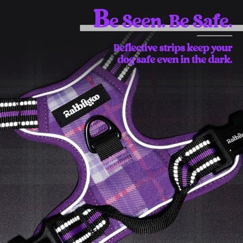 rabbitgoo Dog Harness, No Pull for Small Dogs - Image 7