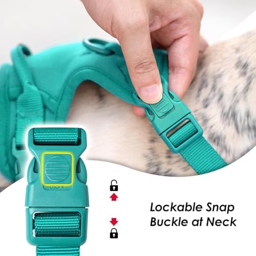 Sunraymascota No Pull Dog Harness - Image 3