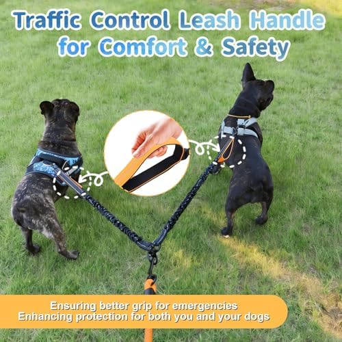 Double Dogs Leash - Image 4