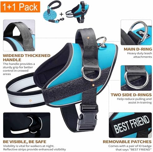 Haapaw Essential Dog Harness, No Pull Pet Vest - Image 2