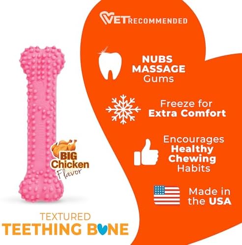Nylabone Puppy Chew Pink Textured Teething Dog Bone - Image 4
