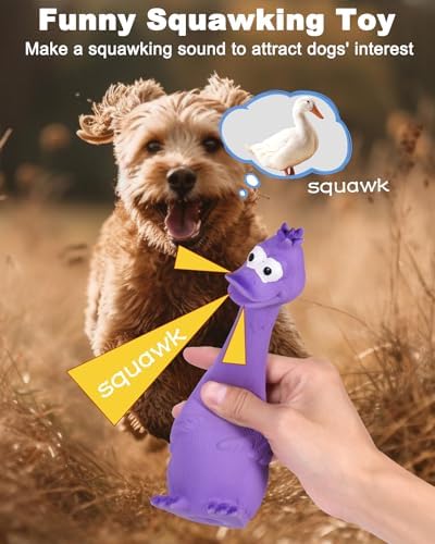SCHITEC Squeaky Dog Toys, Squawking Latex Toy - Image 2