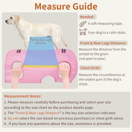 Mayerzon Full Body Dog Lift Harness, Support Senior & Disabled Dogs Walking - Image 3