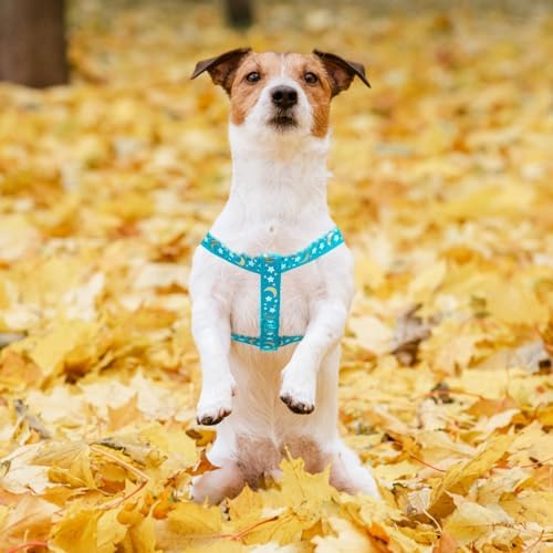 PUPTECK No Pull Dog Harness Small Sized Step-in Adjustable Puppy Vest - Image 5