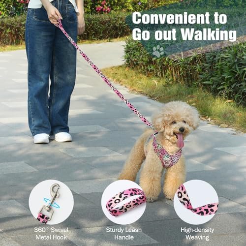 Pawaboo Small Dog Harness and Leash Set, Puppy Harness X-Frame Adjustable - Image 6