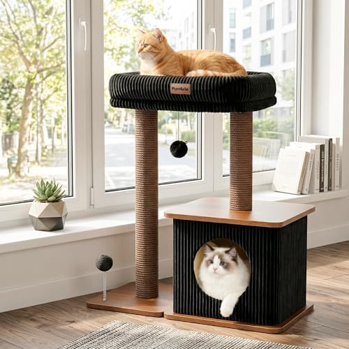 Small Cat Tree for Indoor Kittens - Image 6