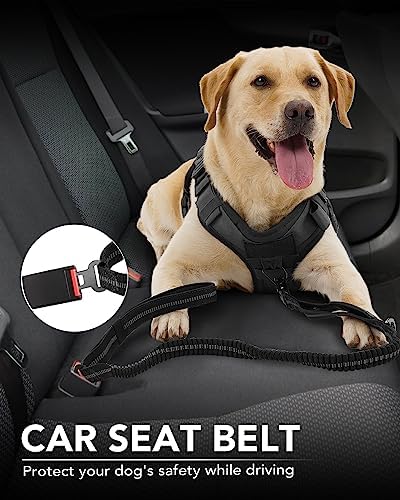 Joytale Tactical Bungee Dog Leash, Shock Absorbing No Pull - Image 4