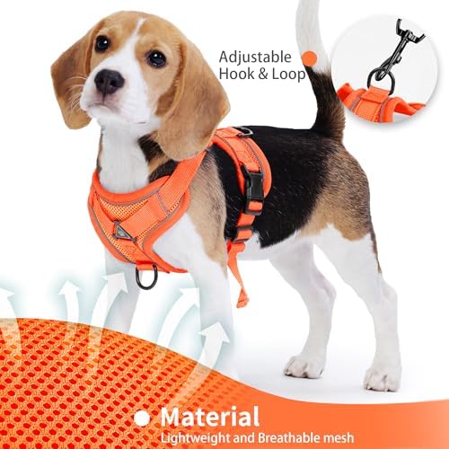 Dog Harness Small Sized Dog Pet Vest - Image 4