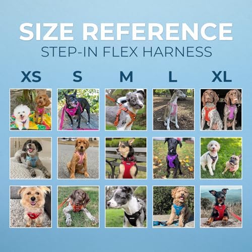 Best Pet Supplies Voyager Adjustable Step-in Flex Breathable Mesh Dog Harness - Image 6