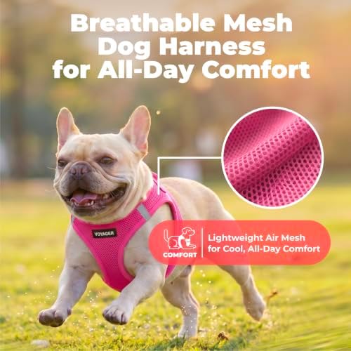 Voyager Step-in Air Dog Vest Harness - Image 5