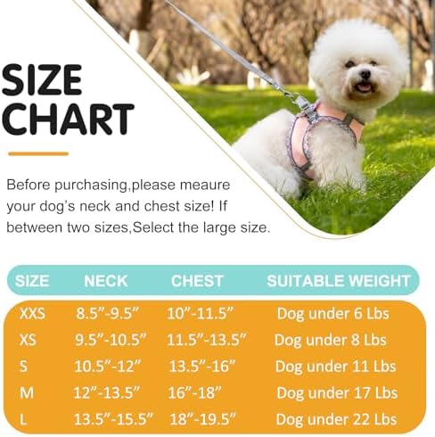 Dog Harness & Leash Set - Image 6