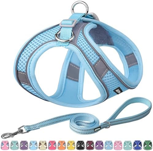AIITLE Dog Harness and Leash Set, Step-in Puppy Pet Vest, Pure Blue M by AIITLE-FORPETSBETTERLIFE