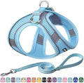 AIITLE Dog Harness and Leash Set, Step-in Puppy Pet Vest, Pure Blue M by AIITLE-FORPETSBETTERLIFE