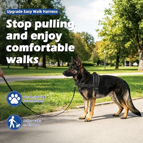 No Pull Dog Harness, Upgraded Padded No-Choke Pet Vest - Image 2