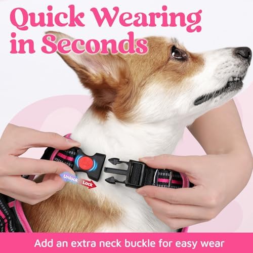 rabbitgoo Dog Harness Medium Sized, No Pull 3 Buckles Easy On & Off - Image 2
