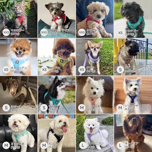 BELLA & PAL Step in Puppy Harness and Leash Set - Image 5