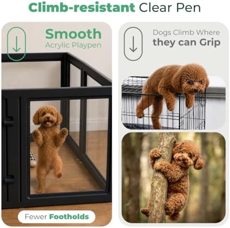 FXW AuraSpace Clear Acrylic Indoor Dog Playpen, 12 Panels - Image 2