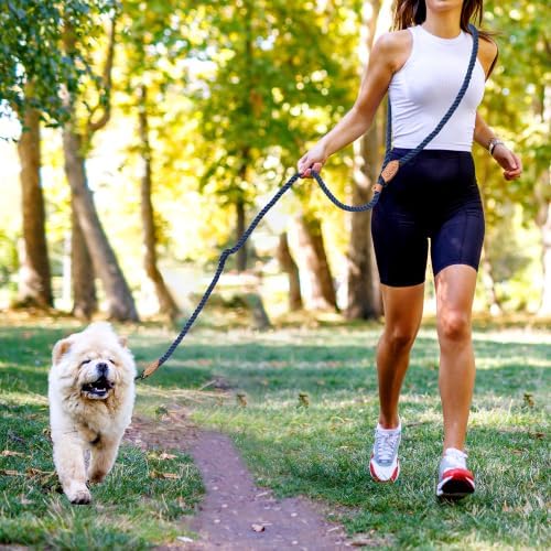Mile High Life Hands Free Dog Leash, Crossbody Waist Leash - Image 5