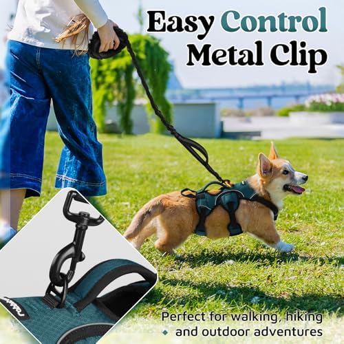 rabbitgoo Escape Proof Dog Harness - Image 5