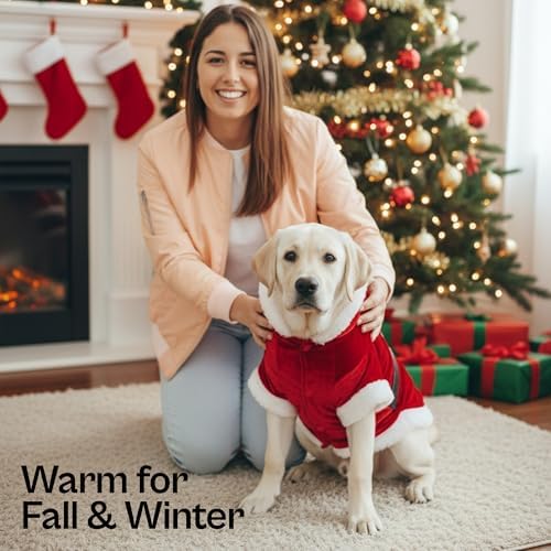 Parisian Pet Dog Santa Hoodie - Santa Claus Dog Christmas Outfit – Xmas Holiday Puppy Hoodie – Winter Pet Sweater – Soft Velvet Christmas Doggy Clothes for Small Dogs - S - Image 4