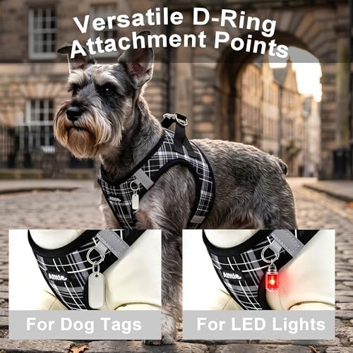 AIITLE Step in Dog Harness and Leash Set Plaid Adjustable - Image 6