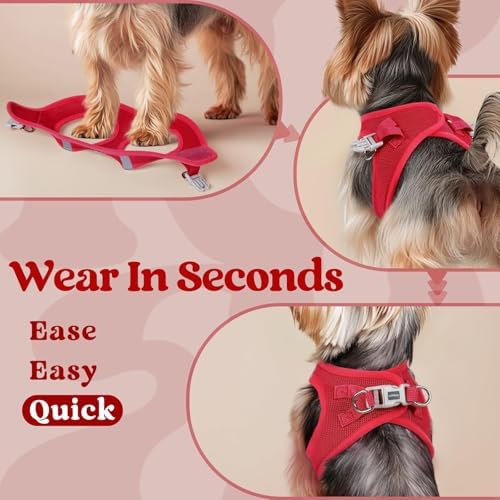 rabbitgoo Step-in Small Dog Harness, Puppy Vest - Image 6