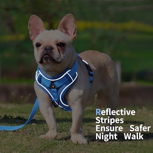 Dog Harness Small Sized Dog Pet Vest - Image 5